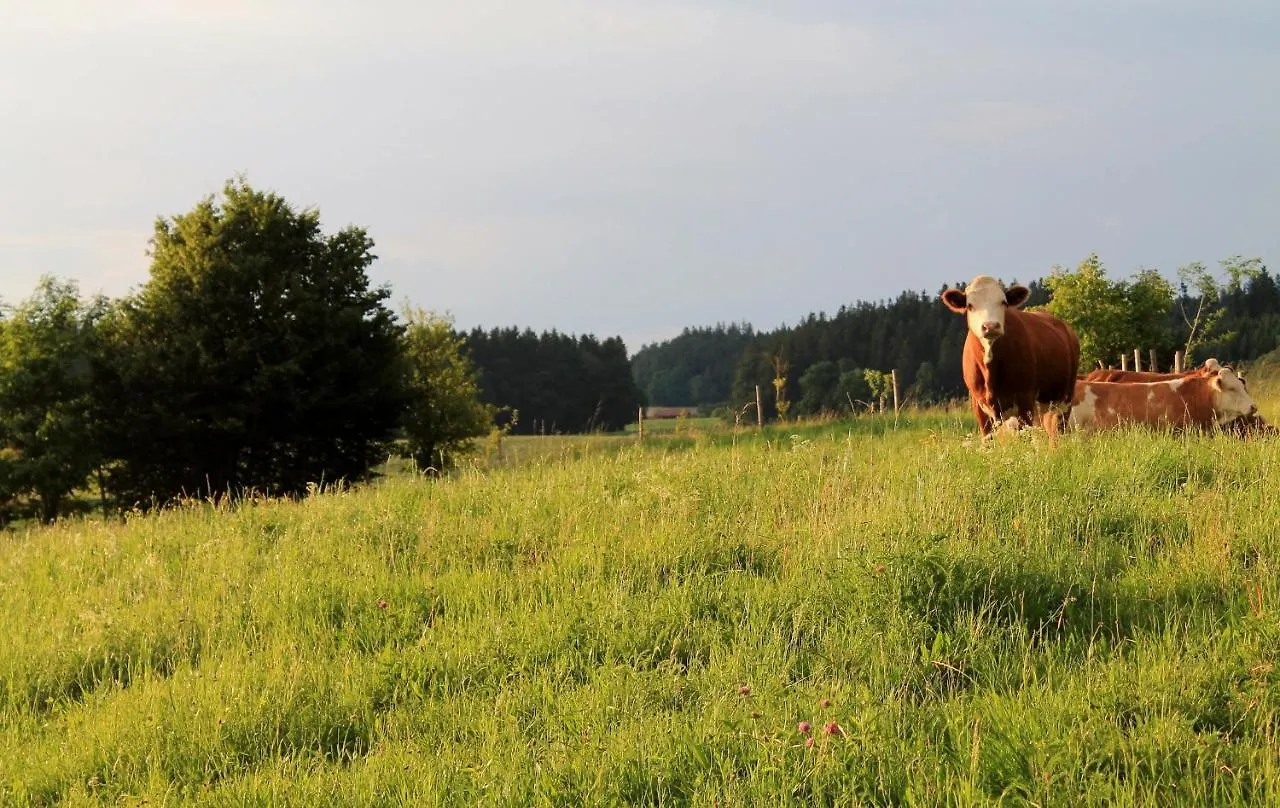 Ferienwohnung Pölzl Chieming 0*,  Deutschland